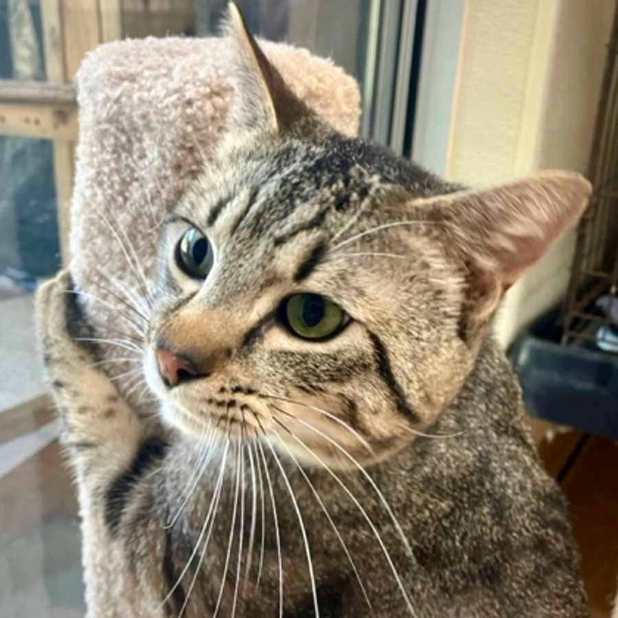 Photo of Stu