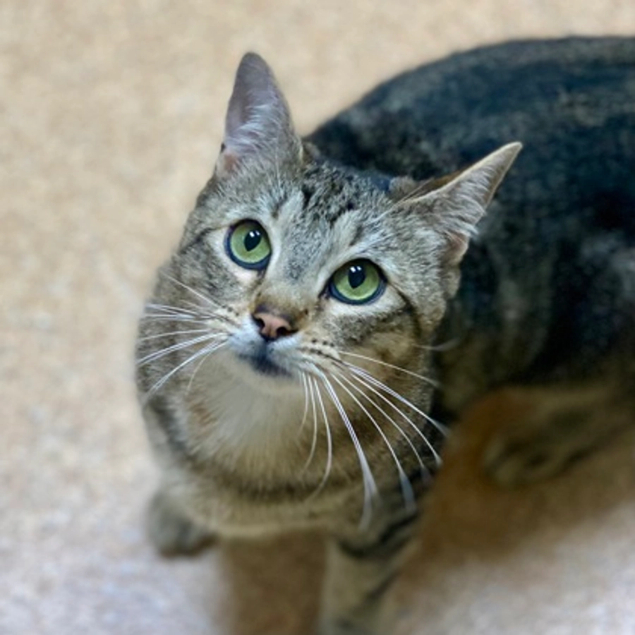 Photo of Fritz