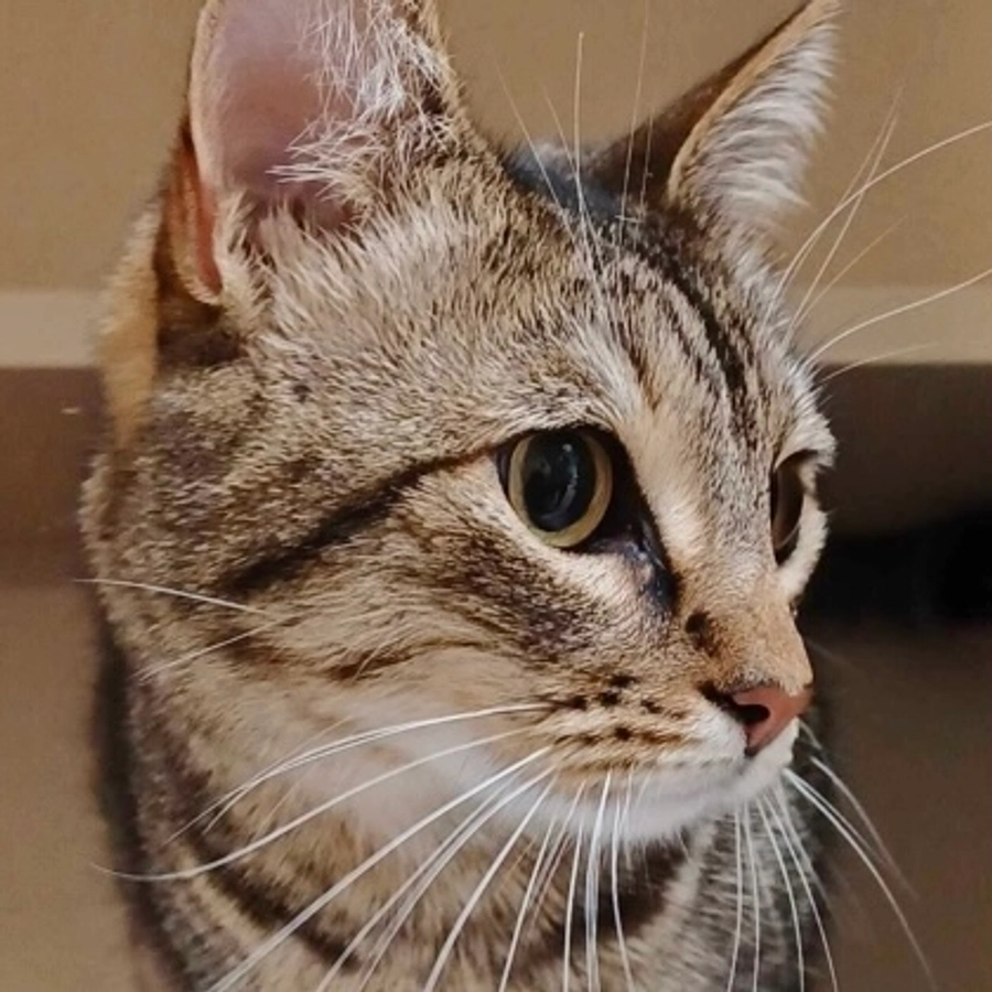 Photo of Jenny