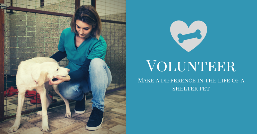 Volunteer - Humane Society of Skagit Valley (HSSV)