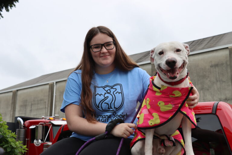 Volunteer - Humane Society of Skagit Valley (HSSV)